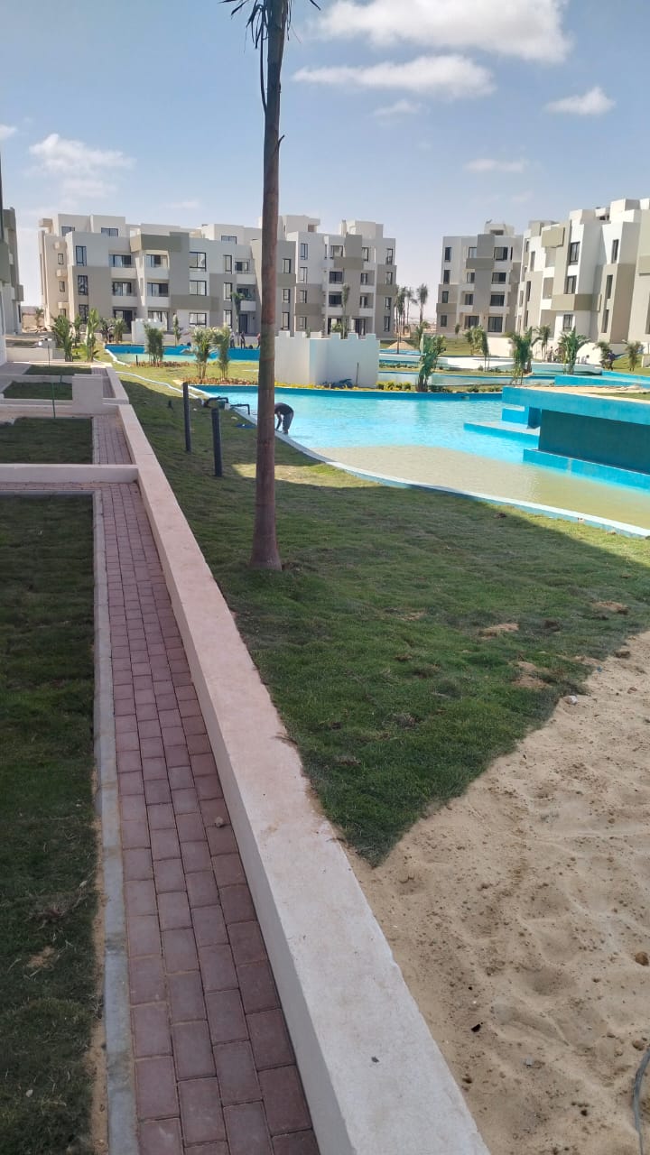 صورة 2